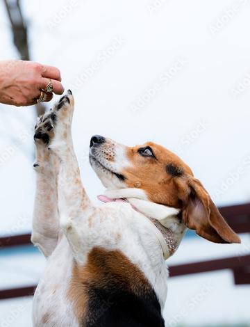 Testing the title problem 2