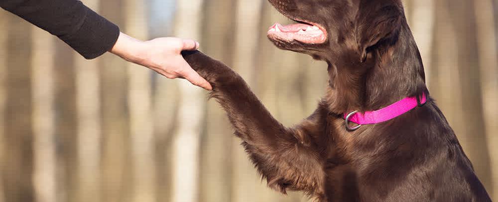 Testing the title problem