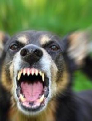 How To Manage Aggressive Behavior